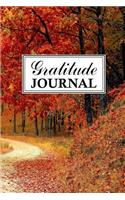 Gratitude Journal: Change Your Mindset and You Change Your Life - Focus On Gratitude and Capture These Thoughts 100-Page, 6 x 9 Appreciation Notebook - The Colors of N