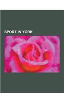 Sport in York: York City F.C., History of York City F.C., List of York City F.C. Players, List of York City F.C. Seasons, List of Yor(English)