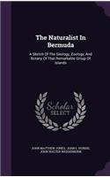 The Naturalist In Bermuda