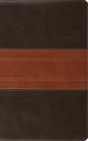 ESV Large Print Personal Size Bible, Red Letter