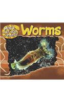 Worms