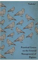 Practical Course on the General Management of Pigeons