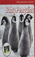 Baby Animals in Action!