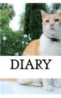 Diary: 6 x 9 Lined Journal(Notebook, Blank Book)