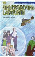 The Underground Labyrinth: (Crowded Kingdom)