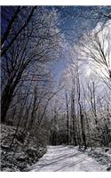 Journal Snowy Winter Path: (Notebook, Diary, Blank Book)(Seasonal Winter Photo Journals Notebooks Diaries)