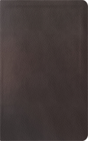 La Biblia de Estudio de la Reforma, Edición Condensada, Dark Brown