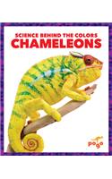 Chameleons