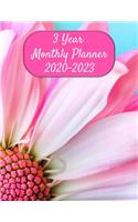 3 Year Monthly Planner: January 2020 - December 2022 - Monthly Pretty Pink Daisy Planning Calendar for Women - Includes End of Month Review - Large 8 1/2" x 11" Soft Cover