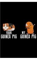 Your Guinea Pig My Guinea Pig
