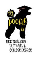 My Poodle Is Like Your Dog But with a College Degree