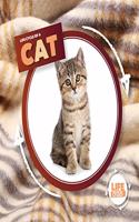 Life Cycle Of A Cat: (Life Cycle of A...)