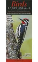 Birds of New England: CT, Ma, Me, NH, Ri, VT