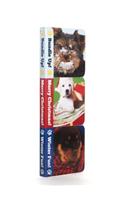 Winter Puppies Boxy Book Set