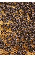 Beekeeping Beehive Busy Worker Bees Journal: 150 lined pages, softcover, 6" x 9"