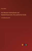 Drei Monate Fabrikarbeiter und Handwerksbursche; Eine praktische Studie