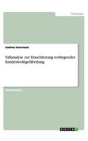 Fallanalyse zur Einschätzung vorliegender Kindeswohlgefährdung