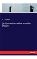 Vergleichende Grammatik der semitischen Sprachen