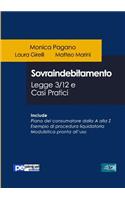 Sovraindebitamento. Legge 3/12 e casi pratici