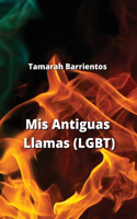 Mis Antiguas Llamas (LGBT)