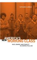 America's New Working Class: Race, Gender, and Ethnicity in a Biopolitical Age