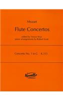Concerto No.1 In G K.313