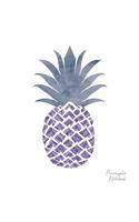 Pineapple Notebook