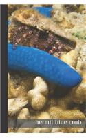 hermit blue crab: small lined Hermit Crab Notebook / Travel Journal to write in (6'' x 9'') 120 pages