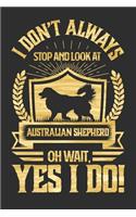 I Don't Always Stop and Look At Australian Sheperd Oh Wait, Yes I Do!