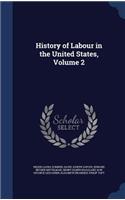 History of Labour in the United States, Volume 2