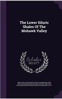 The Lower Siluric Shales of the Mohawk Valley