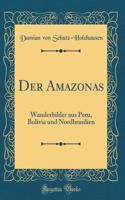 Der Amazonas: Wanderbilder Aus Peru, Bolivia Und Nordbrasilien (Classic Reprint)