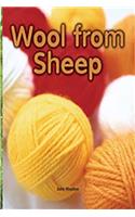 Wool from Sheep: Leveled Reader Bookroom Package Turquoise(Rigby Flying Colors)