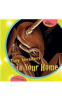 Tiny Invaders in Your Home