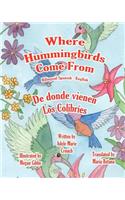Where Hummingbirds Come From Bilingual Spanish English