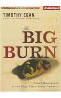 The Big Burn: Teddy Roosevelt & the Fire That Saved America