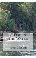 Fish in the Water