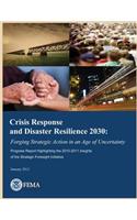 Crisis Response and Disaster Resilience 2030