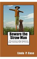 Beware the Straw Man