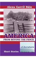 America from Beyond the Fence