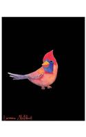 Uncommon Sketchbook