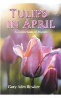 Tulips in April