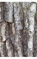 Journal Oak Tree Bark: (Notebook, Diary, Blank Book)