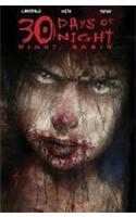 30 Days of Night: Night, Again