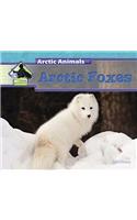 Arctic Foxes