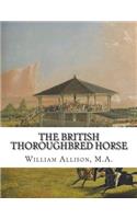 British Thoroughbred Horse