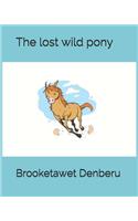 The lost wild pony