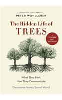 The Hidden Life of Trees