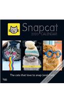 SNAPCAT 2020 SQUARE WALL CALENDAR