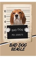 Bad Dog Beagle